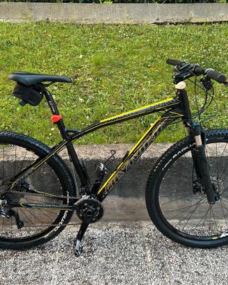 Mountain Bike Olympia Drake