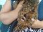 Immagine 3