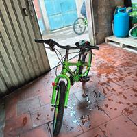 MTB bicicletta 
