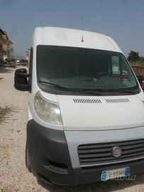 Ducato maxi 