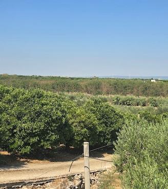 PICCOLO TERRENO AGRICOLO in MASSAFRA
