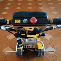 Montascale a cingoli TGR Jolly