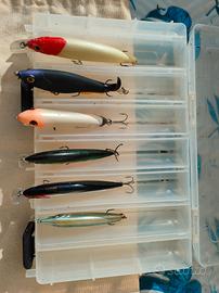 Pesca spinning esche e scatola