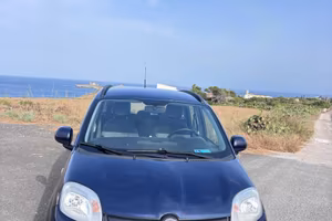 Panda
