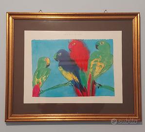 QUADRO con PAPPAGALLI 50 x 60