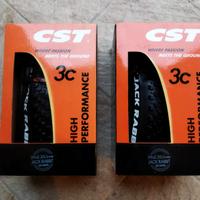 Coppia Copertoni MTB  CST Jack Rabbit