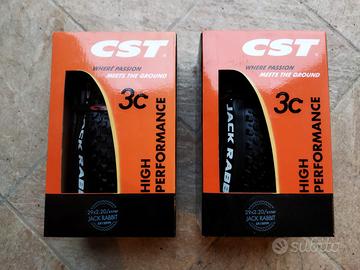 Coppia Copertoni MTB  CST Jack Rabbit