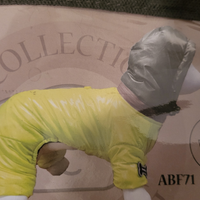 Piumino cool dog cane taglia piccola