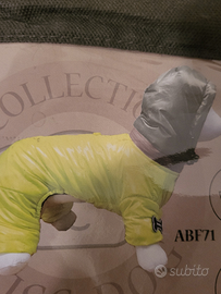 Piumino cool dog cane taglia piccola