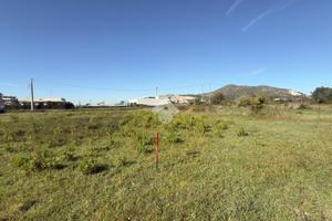 TER. AGRICOLO A CASERTA