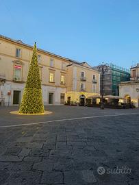 Attivita' commerciale - caffe' giacomino