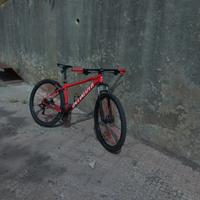 specialized rockhopper 29" L