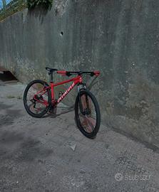 specialized rockhopper 29" L