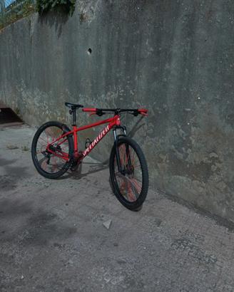 specialized rockhopper 29" L