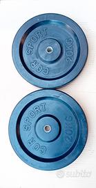 Coppia Dischi Gommati 20kg