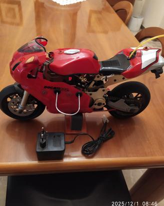modello RC elettrica "DUCATI - 999" 1/5 