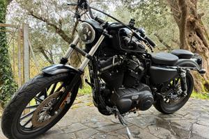 Harley davidson  sportster 883 iron