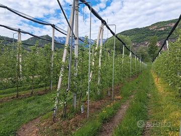 RGE 3/2025 Trib Bolazano - LOTTO 2