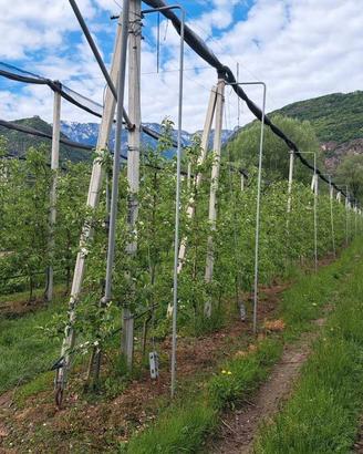 RGE 3/2025 Trib Bolazano - LOTTO 2