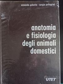 Anatomia e fisiologia degli animali domestici