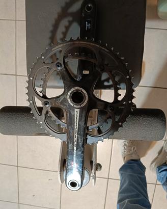Guarnitura campagnolo 
