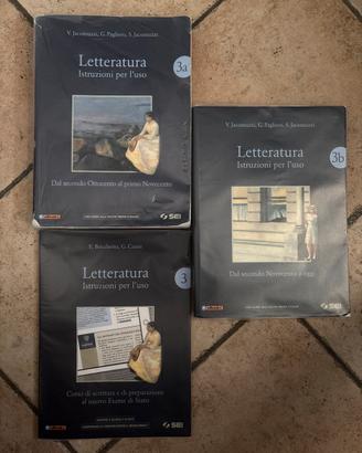 Letteratura istruzioni per l’uso 3