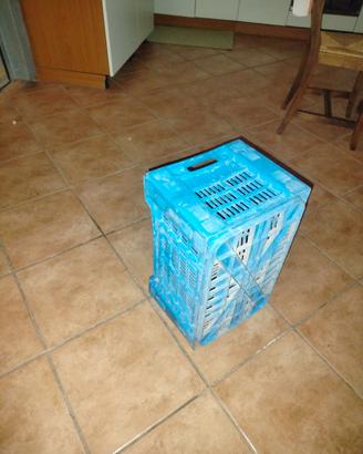 cassette in plastica