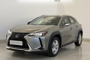 Lexus UX 250 2.0 hybrid business 2wd power split d