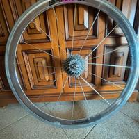 Ruota posteriore shamal campagnolo