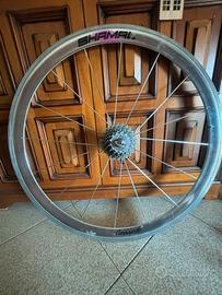 Ruota posteriore shamal campagnolo