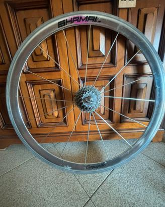 Ruota posteriore shamal campagnolo