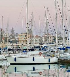 Barca multi 96 motorsailer