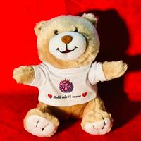 Peluche  con maglietta personalizzata