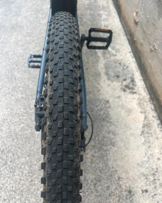 Bicicletta assistita