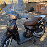 Aprilia scarabeo 100