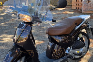 Aprilia scarabeo 100