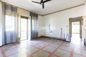 Ampio Trilocale senza spese condominiali con giard
