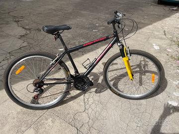 Bicicletta ragazzo