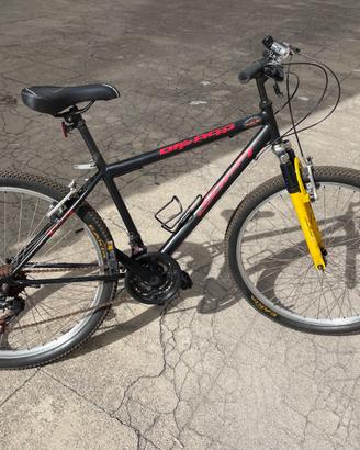 Bicicletta ragazzo
