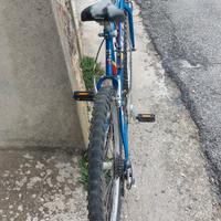 bici mtb ruote 26 pollici 