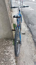 bici mtb ruote 26 pollici 