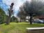 Immagine 12