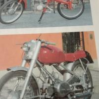 Rumi 125 sport 1950 e motom 50