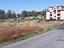 Immagine 12