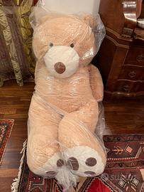 Orso palucbe gigante
