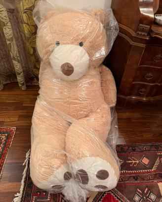 Orso palucbe gigante