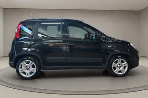FIAT Panda 3ª serie - Panda 1.0 FireFly S&S Hybrid