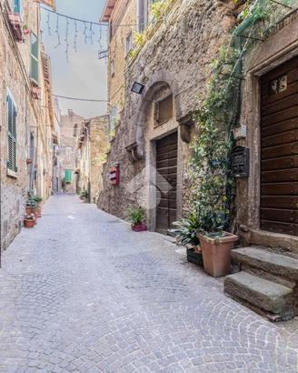 3 LOCALI A BLERA