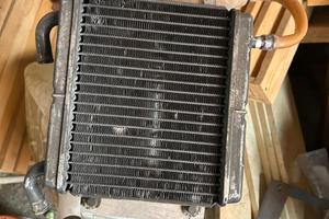 radiatore+boccetta aerox 50