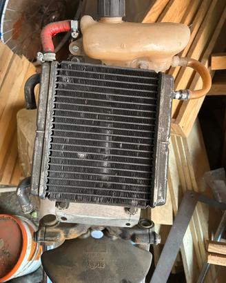 radiatore+boccetta aerox 50